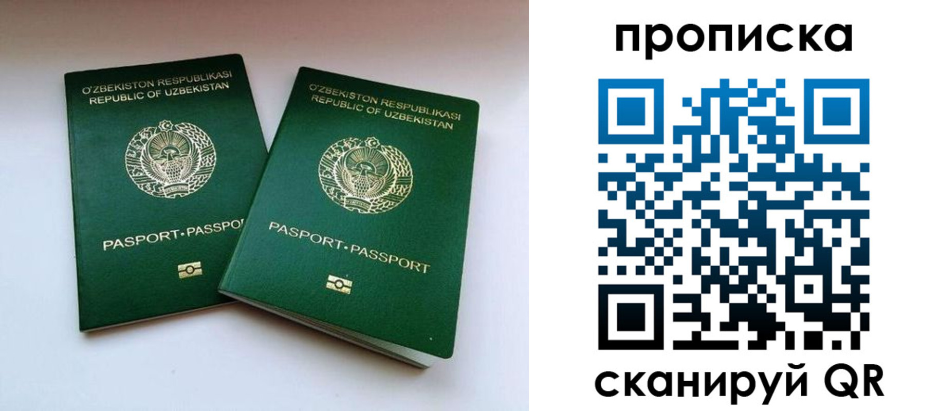 прописка поиск в Железногорск-Илимском